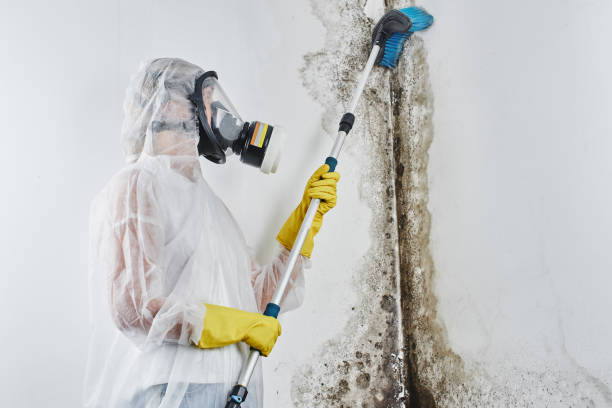 Best Mold Testing  in Hurley, WI