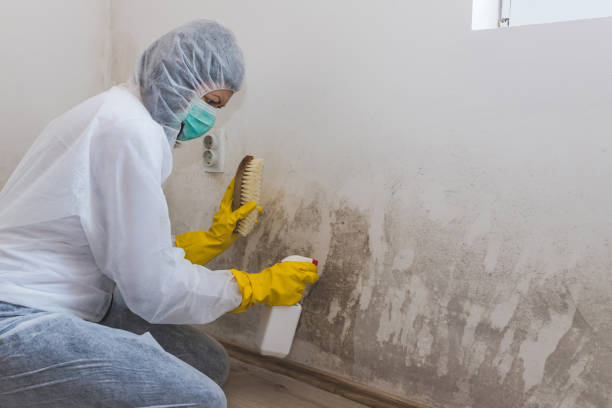 Best Mold Testing  in Hurley, WI
