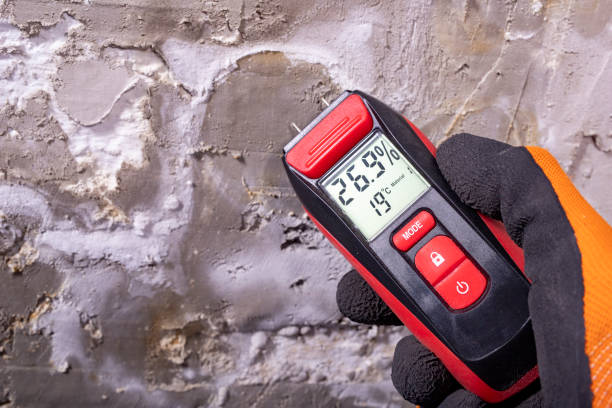 Best Water Damage Restoration  in Hurley, WI