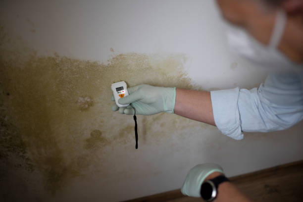Best Mold Testing  in Hurley, WI