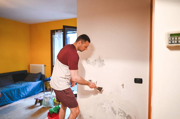 Best Mold Remediation  in Hurley, WI